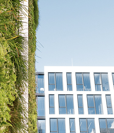 STRABAG Stuttgart Photo of one of the green facades on the STRABAG office building in Stuttgart